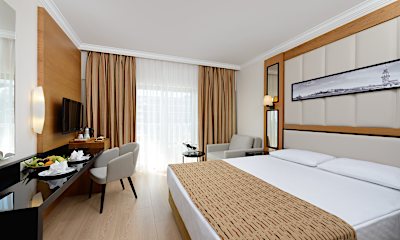 Standart Kara Manzaralı